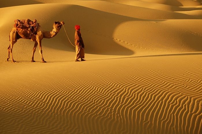 Jaisalmer desert