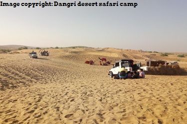 Jeep Safari DDSC